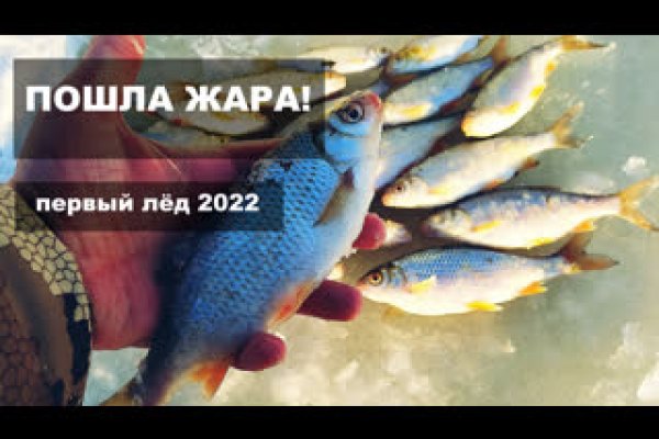 Кракен актуальная ссылка kraken torion net
