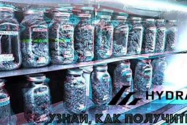 Kraken 24 top