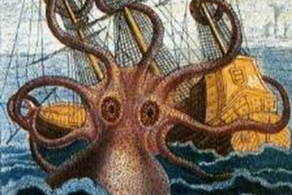 Kraken forum