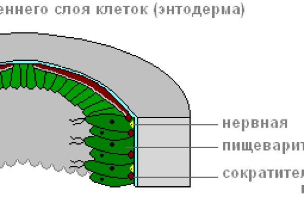 Кракен сыл ссылка