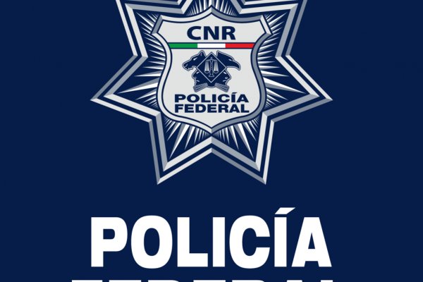 Mega darknet ссылка