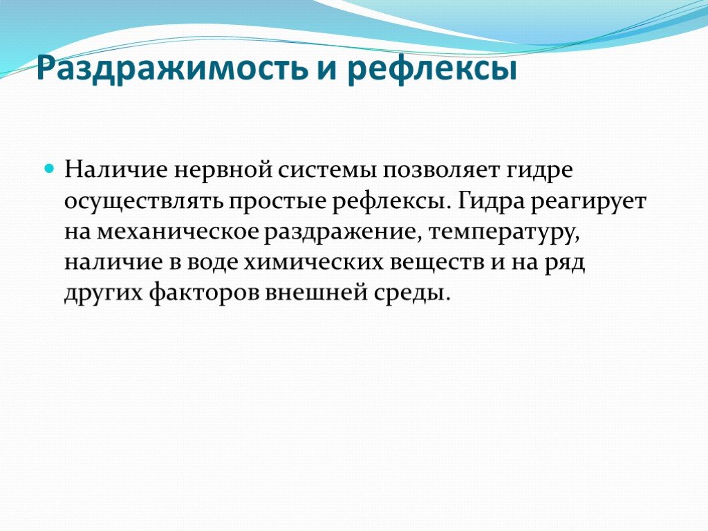 Пользователь не найден кракен что делать