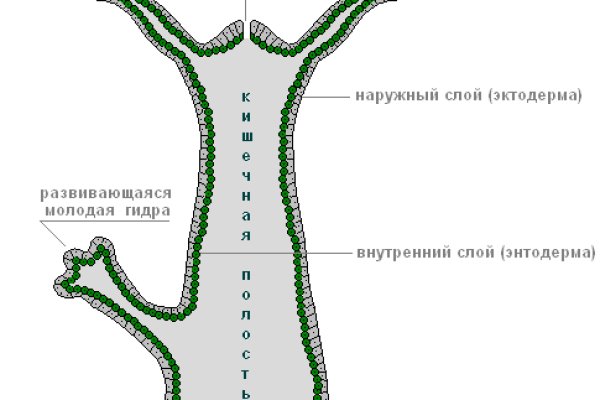 Кракен сайт at